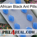 African Black Ant Pills 21